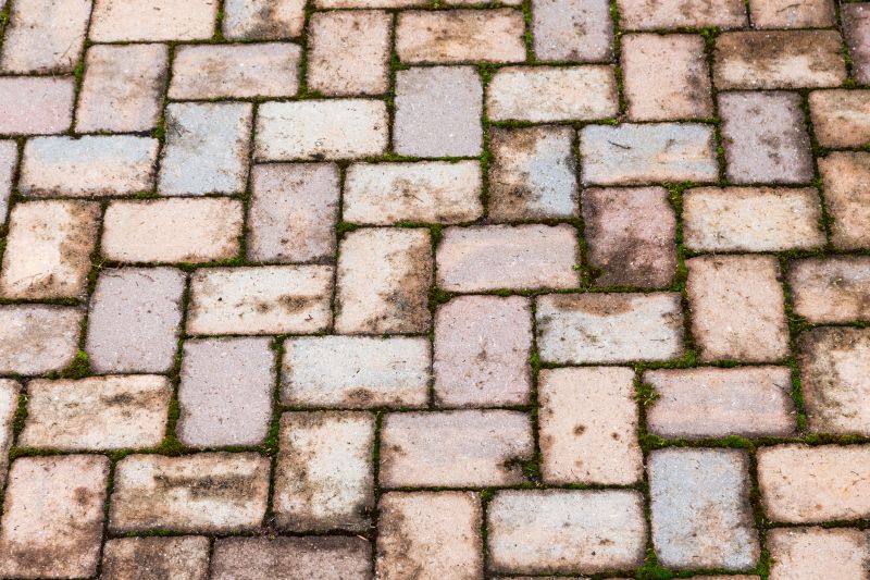Brick Flatwork Repair in Bonita Springs, FL