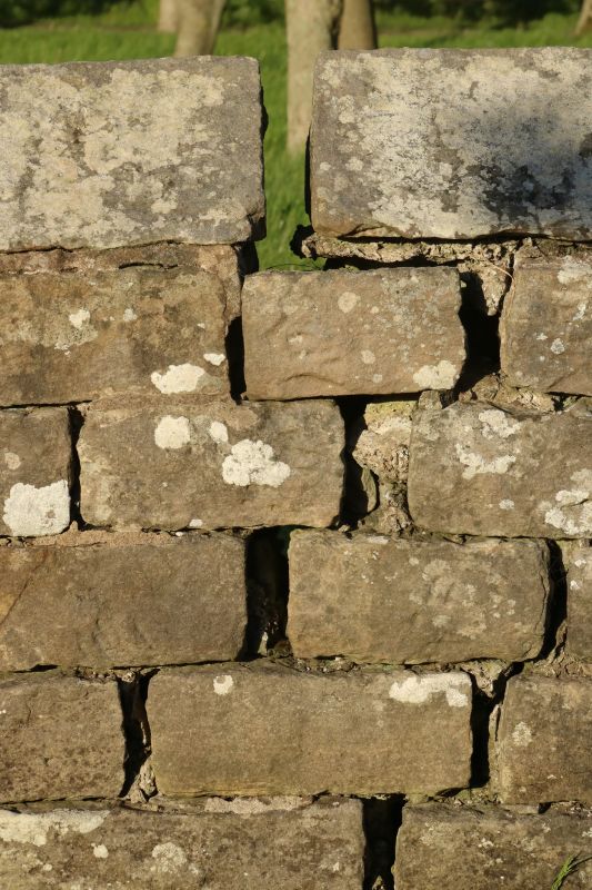 Stone Wall Repair in Alva, FL